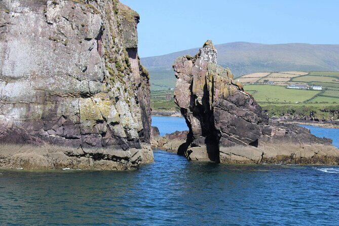 1 hour Dingle Bay Cliff Tour - Seeing Eask Tour, Hussey’s Folley, and Sláidín Beach from the sea