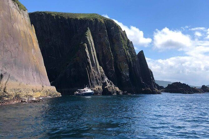 1 hour Dingle Bay Cliff Tour - The guides: why Brendon, Des Murphy, Kyle, Tip, Bruce, and Nuada matter