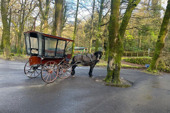 1 Hour Guided Carriage Tour in Killarney National Park - The 1-hour route: Lakes of Killarney, deer country, Ross Castle