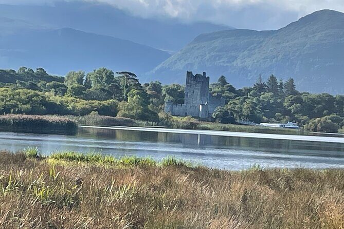 1 Hour Guided Carriage Tour in Killarney National Park - Comfort, weather, and the realities of hearing on a horse carriage