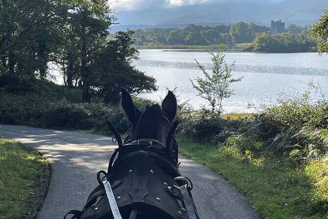1 Hour Guided Carriage Tour in Killarney National Park - Who this carriage tour is best for (and who might skip it)