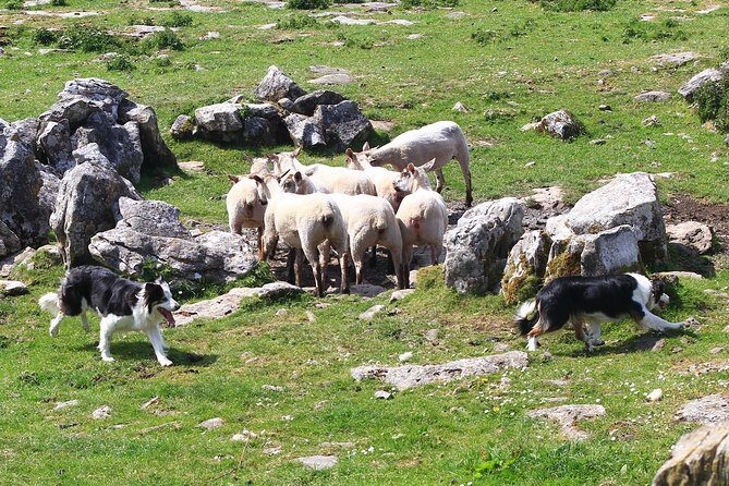 10-Day Ultimate Small-Group Tour of Ireland from Dublin - Inis Oírr, Galway, and Kylemore Abbey: A Week That Feels Like Three Trips