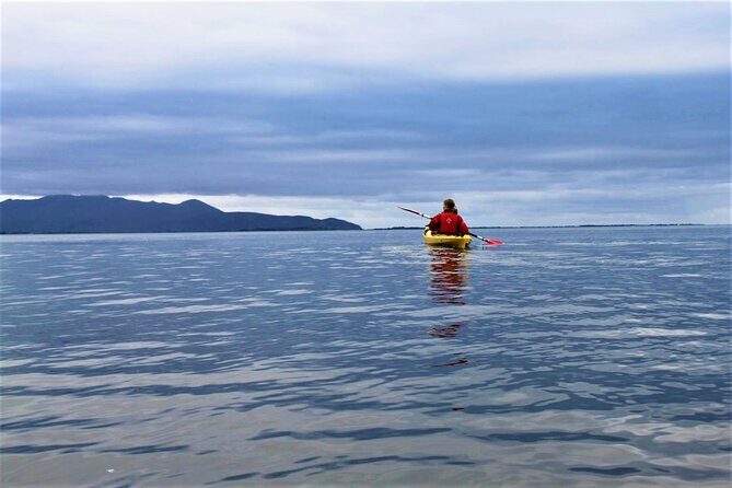 2.5 Hour Guided Sea Kayaking in Roundstone Bay - The guides make it: how local knowledge changes the trip