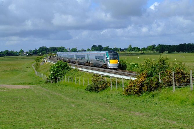 2-Day Cork and Blarney Castle Rail Tour from Dublin - Day 1 in Cork: English Market plus a guided city glance