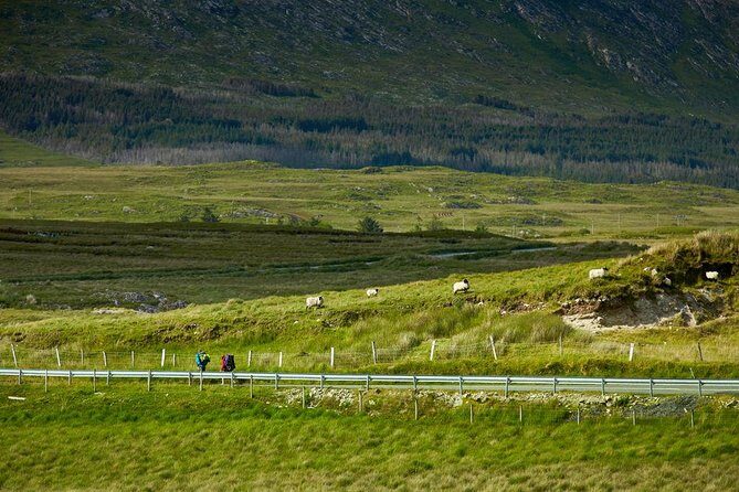 2-Day Western Ireland Tour from Dublin:Including Galway and Cliffs of Moher - Bunratty Castle area photo stop and Wild Atlantic Way return