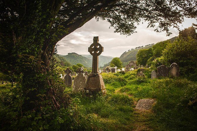 3-Day Dingle, Killarney and the Wild Atlantic Way Small-Group Tour from Dublin - The 16-seat Mercedes rhythm: what the small-group setup feels like