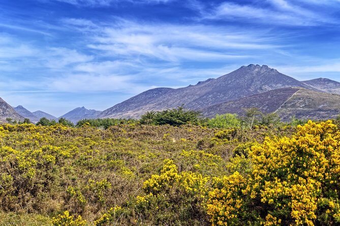 3-Day Discover Northern Ireland Small-Group Tour from Dublin - Where you sleep: en-suite rooms and the breakfast that matters