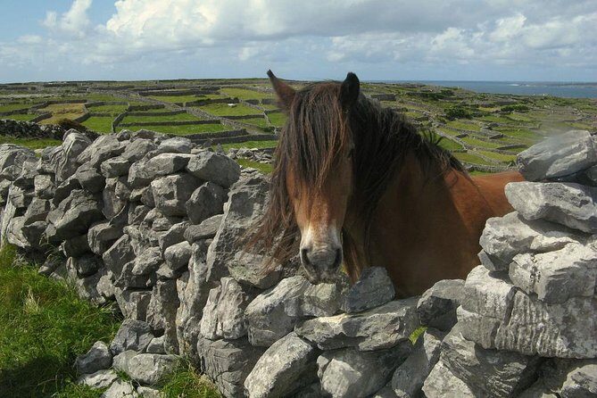 3-Day Southern Ireland Tour Including Galway and Kerry from Dublin - Day 2: Wild Atlantic Way, the Burren, and the Cliffs of Moher core moment