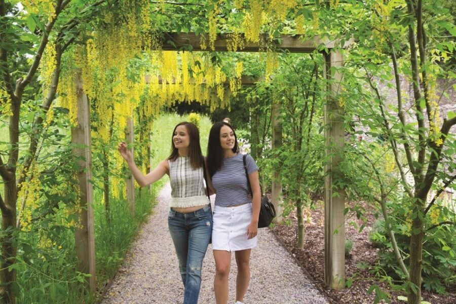 6-Day Tour of Southern Ireland from Dublin - Key Highlights You’ll Feel Immediately