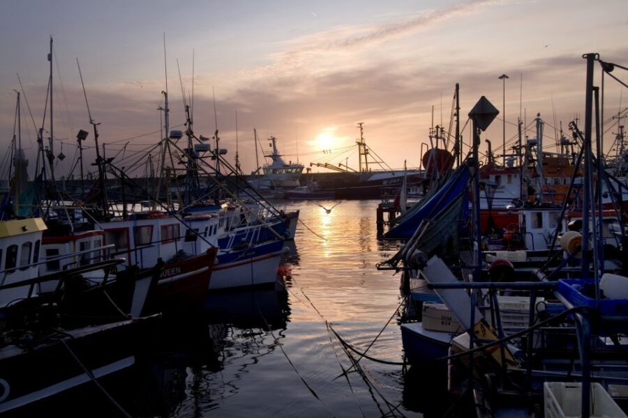 6-Day Tour of Southern Ireland from Dublin - Included vs Not Included: Where You’ll Spend Money