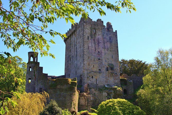 7-Day Great Atlantic Adventure Small-Group Tour of Ireland from Dublin - Blarney Stone to Croagh Patrick: what the week feels like