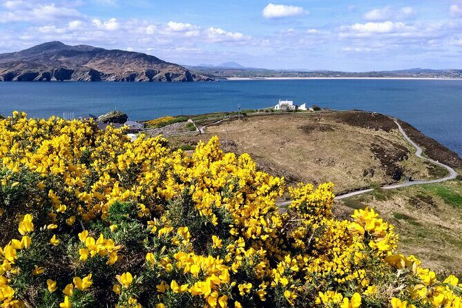 A Walk Through Time in Fort Dunree - Fort Dunree makes time feel close at hand