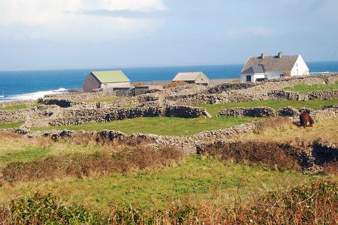 Aran Island, Cliffs of Moher & Cruise tour from Galway. Guided. - The cruise beneath the cliffs: the view that changes everything