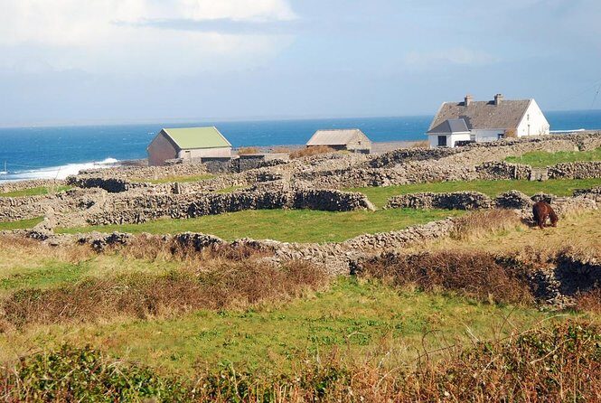 Aran Islands Bike Tour with Tea and Scones from Galway - Quick hits before you book
