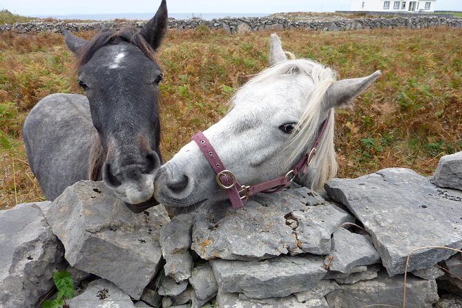 Aran Islands Scenic Flight and Galway Rail Tour from Dublin - Seven Churches: a quick stop with a strong sense of place