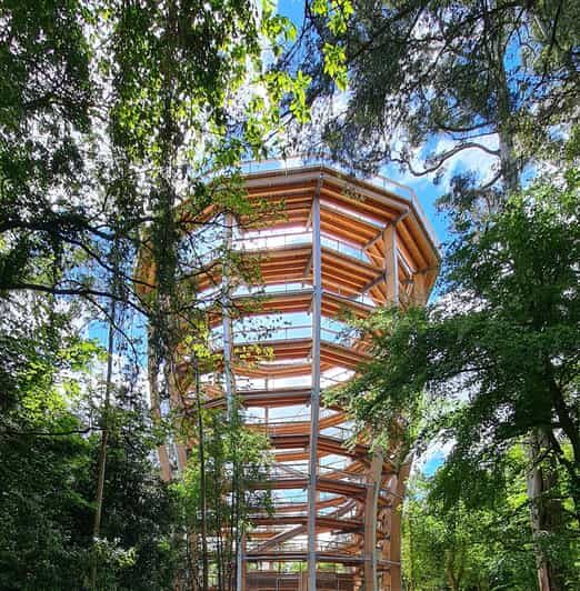 Avondale: Beyond the Trees Treetop Walk & Tower Entry Ticket - Key things to know before you go