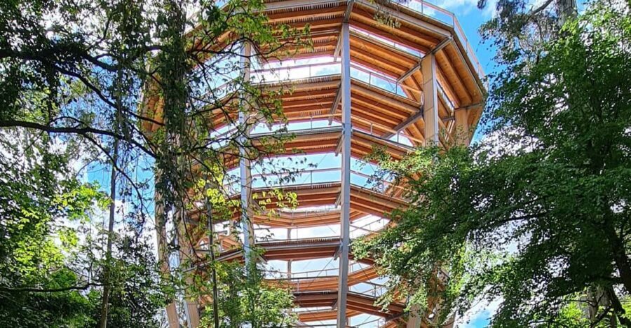 Avondale: Beyond the Trees Treetop Walk & Tower Entry Ticket - First steps: QR codes, the forest entrance, and a smooth start