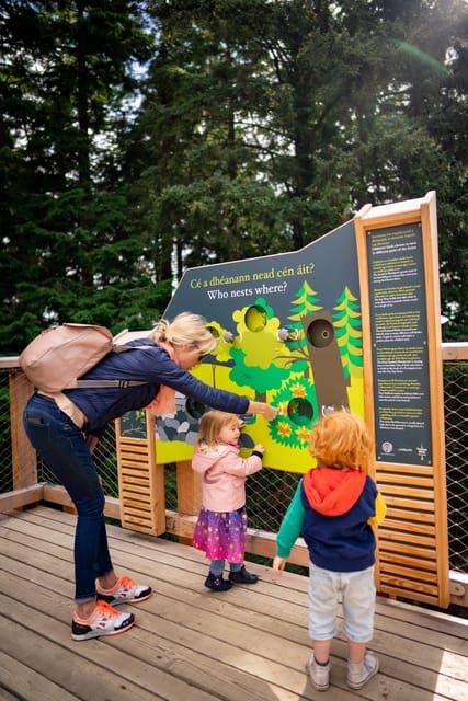 Avondale: Beyond the Trees Treetop Walk & Tower Entry Ticket - Extra time in the park: picnic tables, Seed Café, and Coillte Pavilion