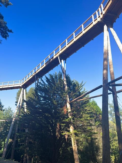 Avondale: Beyond the Trees Treetop Walk & Tower Entry Ticket - Pets, supervision, and practical rules that affect your day