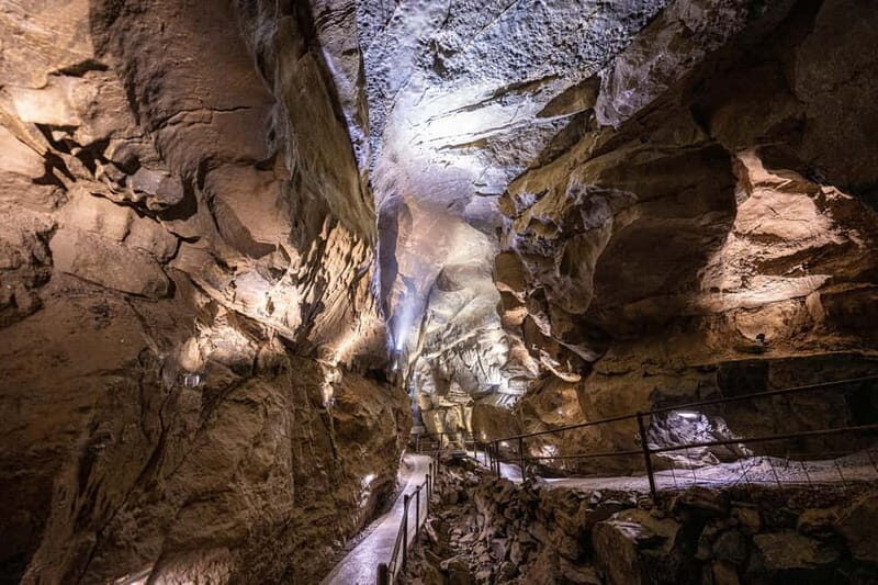 Ballyvaughan: Aillwee Burren Experience Entry Ticket - Key highlights at Aillwee Burren Experience (ticketed day)
