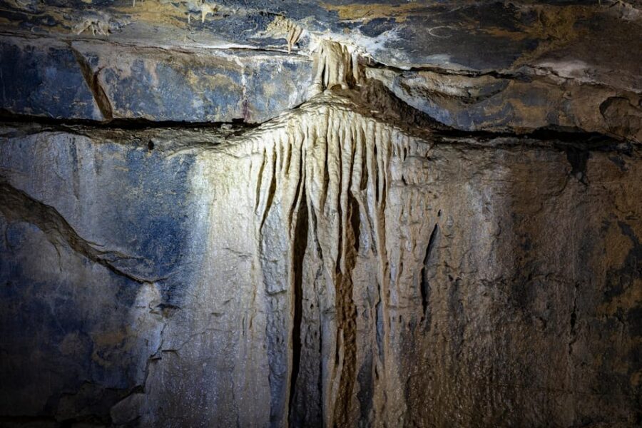 Ballyvaughan: Aillwee Burren Experience Entry Ticket - Timing tips: when to go and how to avoid feeling rushed