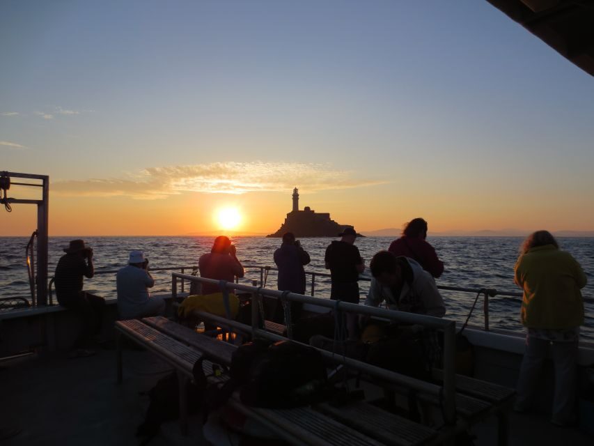 Baltimore Harbor: Sunset Cruise to Fastnet Rock Lighthouse - Who this sunset cruise suits best