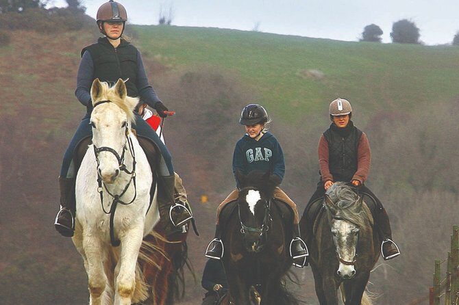 Beach & countryside horse riding outside Westport. Guided. 1 hour - Key highlights worth booking