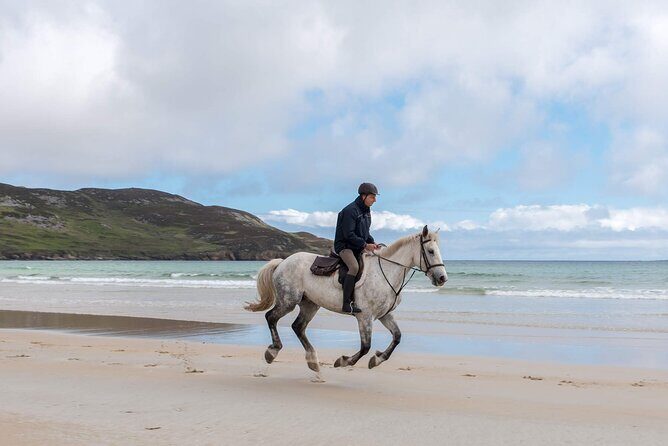 Beach & countryside horse riding outside Westport. Guided. 1 hour - How to Plan Around Weather and Tides Without Stress