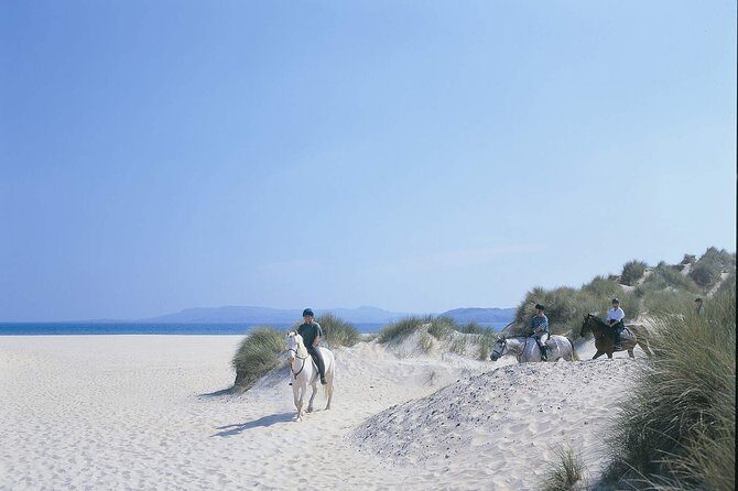 Beach & countryside horse riding outside Westport. Guided. 1 hour - Who This Is Best For (and Who Might Want a Different Option)