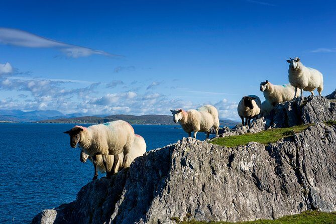 Beautiful Southwest Tour 2022 - Charles Fort and Kinsale Crystal: fortified views and a serious food-and-town vibe