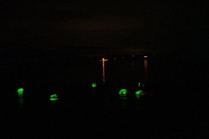 Bioluminescent Swim Experience in West Cork with Storytelling - Key things to know before you go