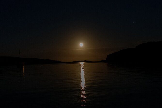 Bioluminescent Swim Experience in West Cork with Storytelling - Why this bioluminescent swim in West Cork feels different