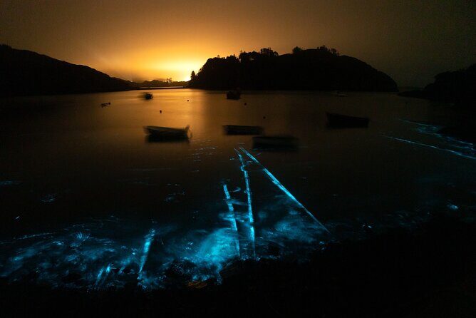 Bioluminescent Swim Experience in West Cork with Storytelling - Castle Haven after dark: the flow of the 2-hour experience