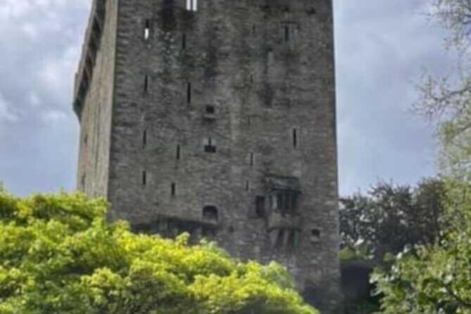 Blarney Castle and Cork City 2025 award winning minibus tour - The English Market stop: fast and flavorful in 20 minutes