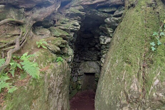 Blarney Castle Cork City and Jameson Distillery Small groups - Small-Group Logistics: Why Guides and Group Size Matter