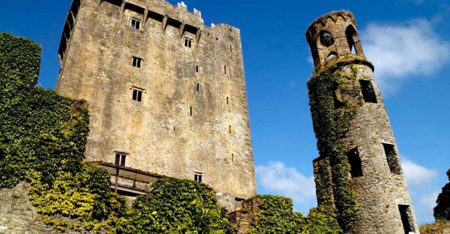 Blarney Castle Full-Day Tour from Dublin - Who This Tour Suits Best