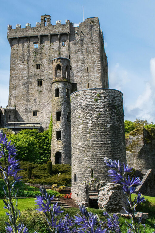 Blarney Castle: Private Guided Day Tour from Dublin - A private day from Dublin that actually feels like a plan