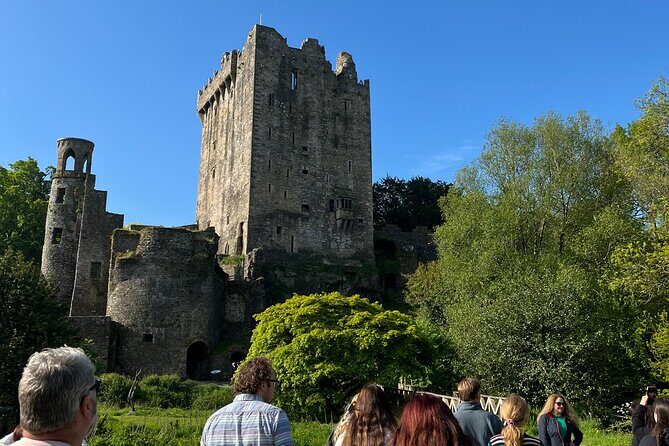 Blarney,Cork City,Kinsale,Ultimate Private Guided Minibus Tour. - Stop 1: Blarney Castle and Gardens (The Big Moment)