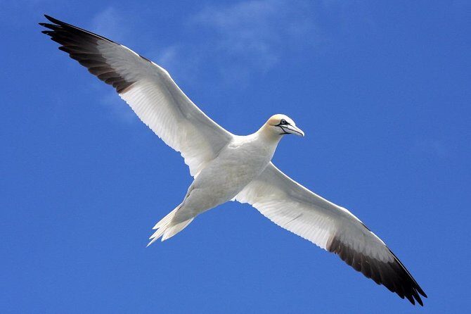 Blasket Island Eco Tour. - The cliffs, rock formations, and the feel of a wild coast