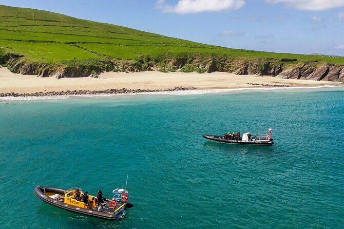 Blasket Island Sea Life Rib Tour, - Key things to know before you go