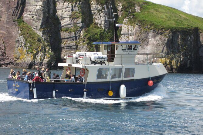 Boat Tour of Dingle Peninsula - Key highlights worth planning for