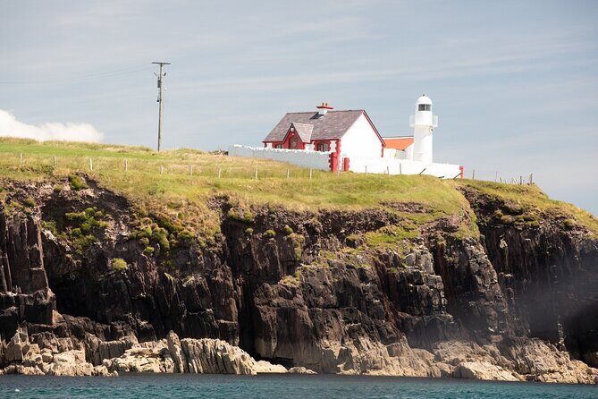 Boat Tour of Dingle Peninsula - Getting On Board at Dingle Marina (and What Makes It Comfortable)