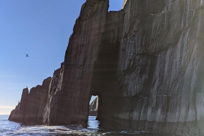 Boat Tour of Dingle Peninsula - Who This Dingle Peninsula Boat Tour Is Best For