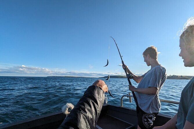 Boat Tour of Kinsale Harbour and Bandon River - Key Highlights You’ll Actually Notice