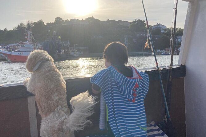 Boat Tour of Kinsale Harbour and Bandon River - Private Tour Value: What $663.74 Buys for Up to 10