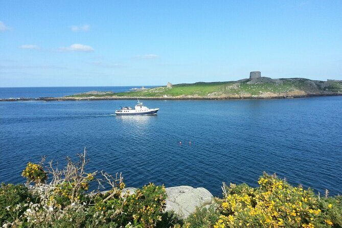 Boat Trip from Howth to Dun Laoghaire - Howth Harbour, Ireland’s Eye, and Howth Head: What You’ll See from the Water
