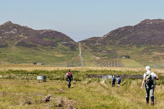 Bog Safari Hike - Key Highlights You’ll Care About