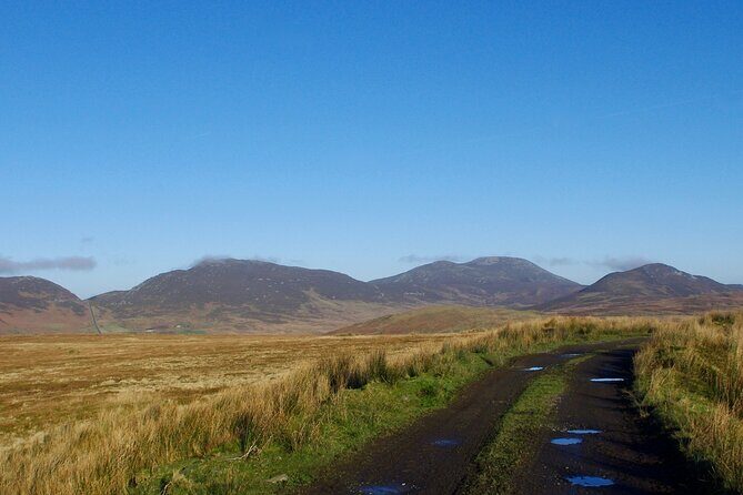 Bog Safari Hike - Biodiversity + Climate: What Peatland Actually Does