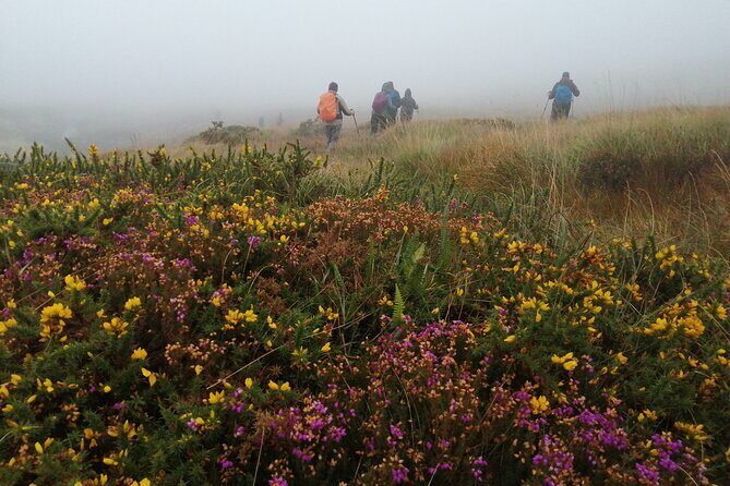 Bog Safari Hike - Green Energy in Action: Modern Power Meeting Old Ground