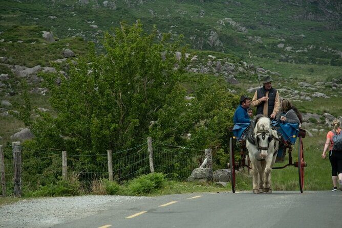 Bus, Boat & Jaunting Cart Tour (Jaunting Cart Paid Separately) - Who Should Book This Tour, and Who Might Want a Different Plan
